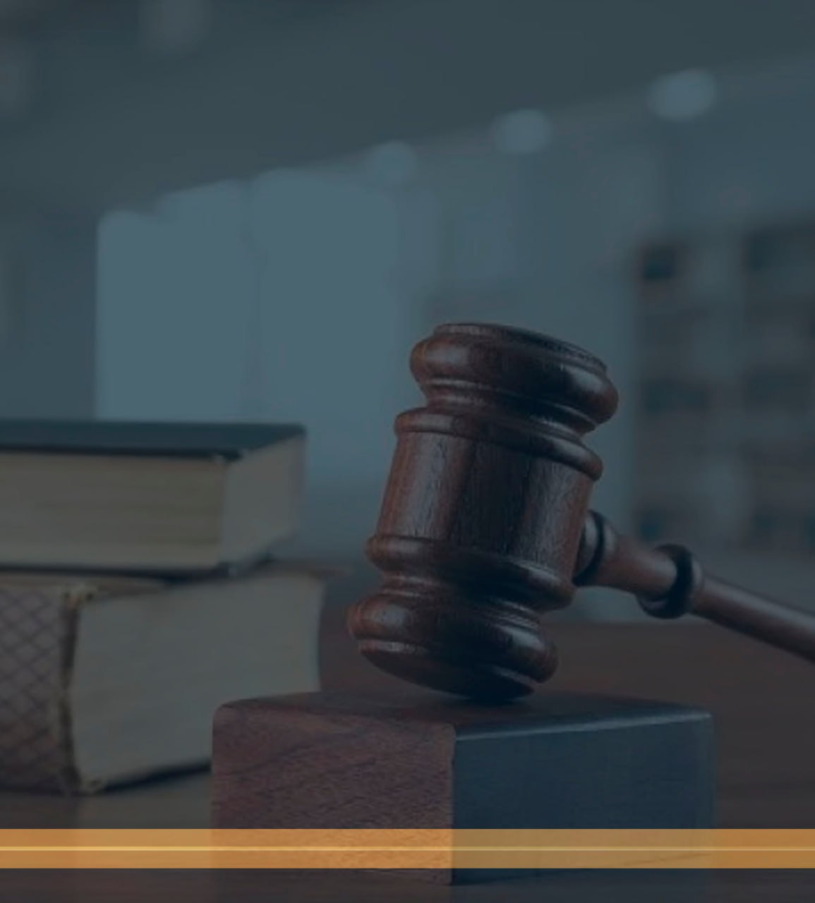 Консультация юриста по списанию долгов в Ростове-на-Дону